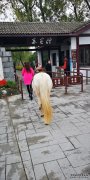 扬州第一家室内动物园隆重开幕
