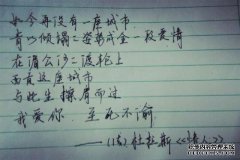 苏志勇：我年轻的时候，我以为自己可以努力工
