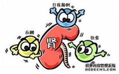 这些情况出现在尿液中，这表明你的肾脏有问题