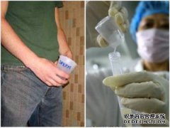 那人从日本买了一个球来珍藏宝藏。专家看到后