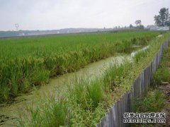 金宝的生态发展，牧草的魔力无抗繁殖。