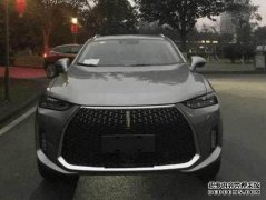 ？每百公里28公里？长城WEY的老板有油耗吗？网友
