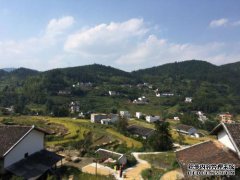 栾川县大邑市人民政府