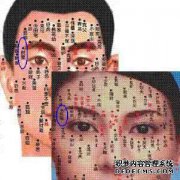 左眉C男子