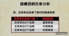 脾脏和脾脏怎么调