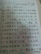 什么和什么6字母的语言
