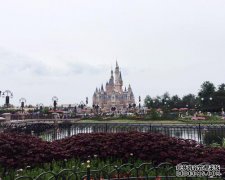 上海迪士尼回应了一份报告，称“不接受调解”