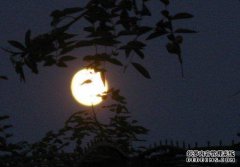 六个我们的月球头是什么意思？