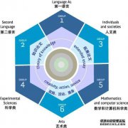 什么是IB课程？哪个国家认可IB分数？