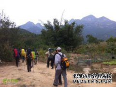 江门市新湖台山古道蛇攀爬