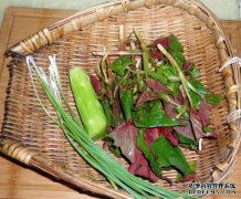 如何吃野葱
