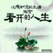 最近，我总是感到困惑和沮丧。当我看到不起作