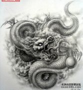 古老的神秘龙，他们真的是龙吗？龙真的存在吗