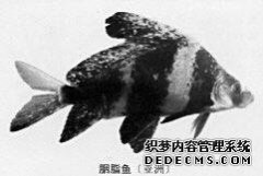 安徽部属吃鱼和朋友圈，实际上造成了刑事拘留