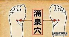 教我关于Tabi的知识