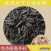 兔子可以用猫砂吗？
