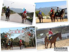 在深圳哪里可以骑马，在深圳哪里可以学习骑马