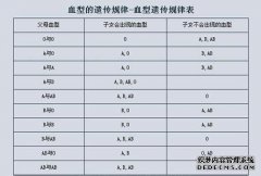 A RH +血型是什么意思？