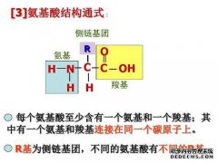 什么是OH？