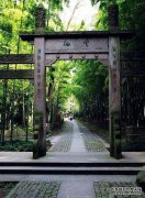 [这条路很安静]