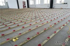 一年半的DQ值是多少？总运动：21分，精细运动：