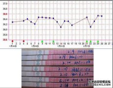 [已解决]12月30日和1月28日zyz水印，2月4日的hcg血液