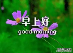 [早安问候]早安祈祷大泉