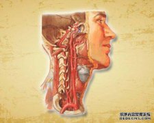 圆锥管狭窄，高骨形成
