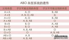 RH在血型中的意义
