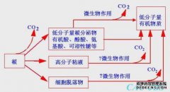 含义有何不同？