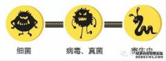 在海鲜季节，鱼，虾和螃蟹有区别吗？一起教美