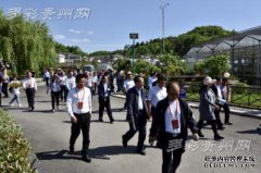 前溪县无锡社区发展乡村旅游杜甫街笔记