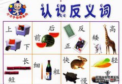 什么是真诚的反义词？