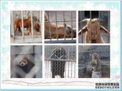 “如何与没有衣服的孩子一起解释”
