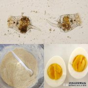 孔雀鱼不玩