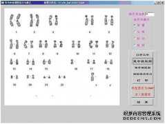 K带核型分析报告：46，XN，1q ...