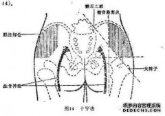 处方中的肌肉注射每天一次在im qd中表达，请问每