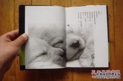 再见，Kelu PDF高清扫描版
